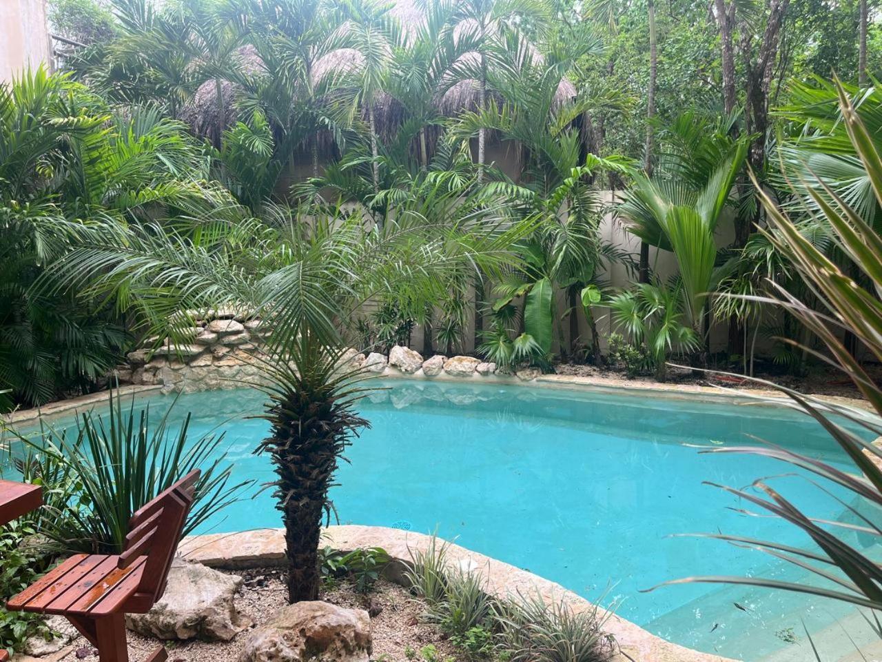 Ikal Oasis 1-bdr Priv Plunge Pool Apartamento